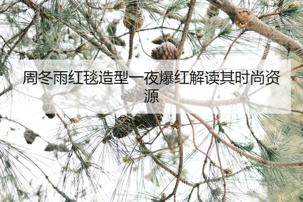 zhou-dong-yu-hong-tan-zao-xing-yi-ye-bao-hong-jie-du-qi-shi-shang-zi-yuan-2-820.jpg